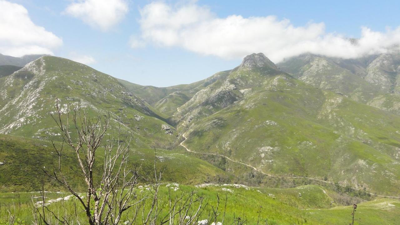 Kooboo Berry Ocean View, Self Catering Guesthouse Wildernis Екстериор снимка